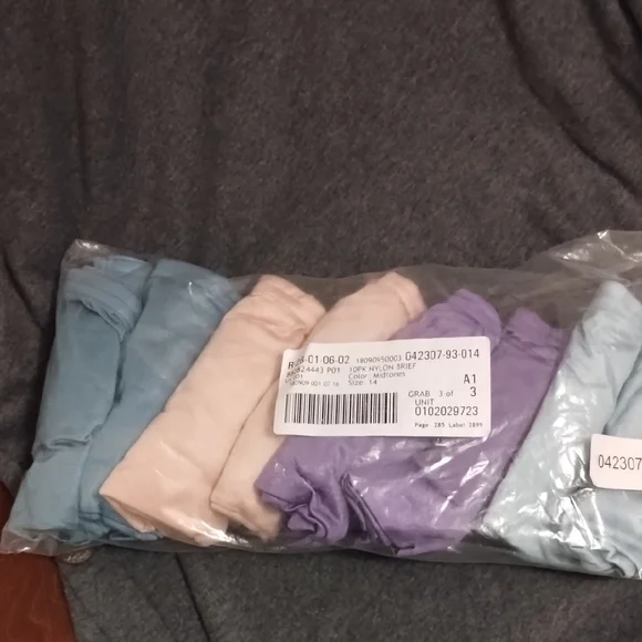 Woman Within Multi-Color Panties Set - Picture 1 of 3